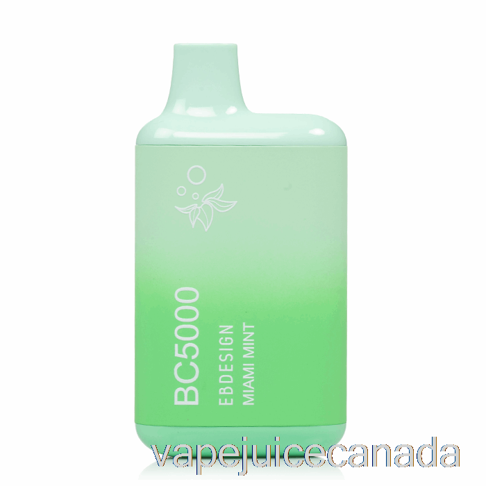 Vape Canada BC5000 Disposable Miami Mint